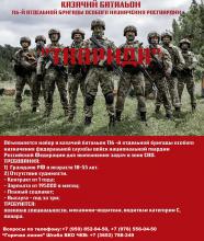 В Крыму идет формирование казачьего батальона «Таврида» в составе Росгвардии